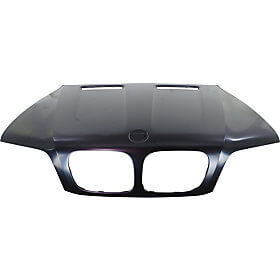 2000 BMW X5 : Hood Painted